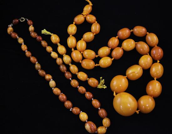 A single strand graduated amber oval bead necklace,